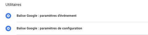Variables de paramètres dans Google Tag Manager