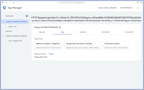 Tags tab in GTM Server-Side preview