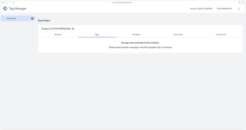 Functional GTM Server Side preview