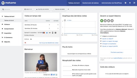 Interface de Matomo