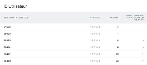 Rapport User ID dans Matomo