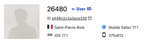 User Id dans le profil visiteur dans Matomo