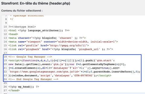 Ajout du code de Google Tag Manager dans la balise head du thème wordpress