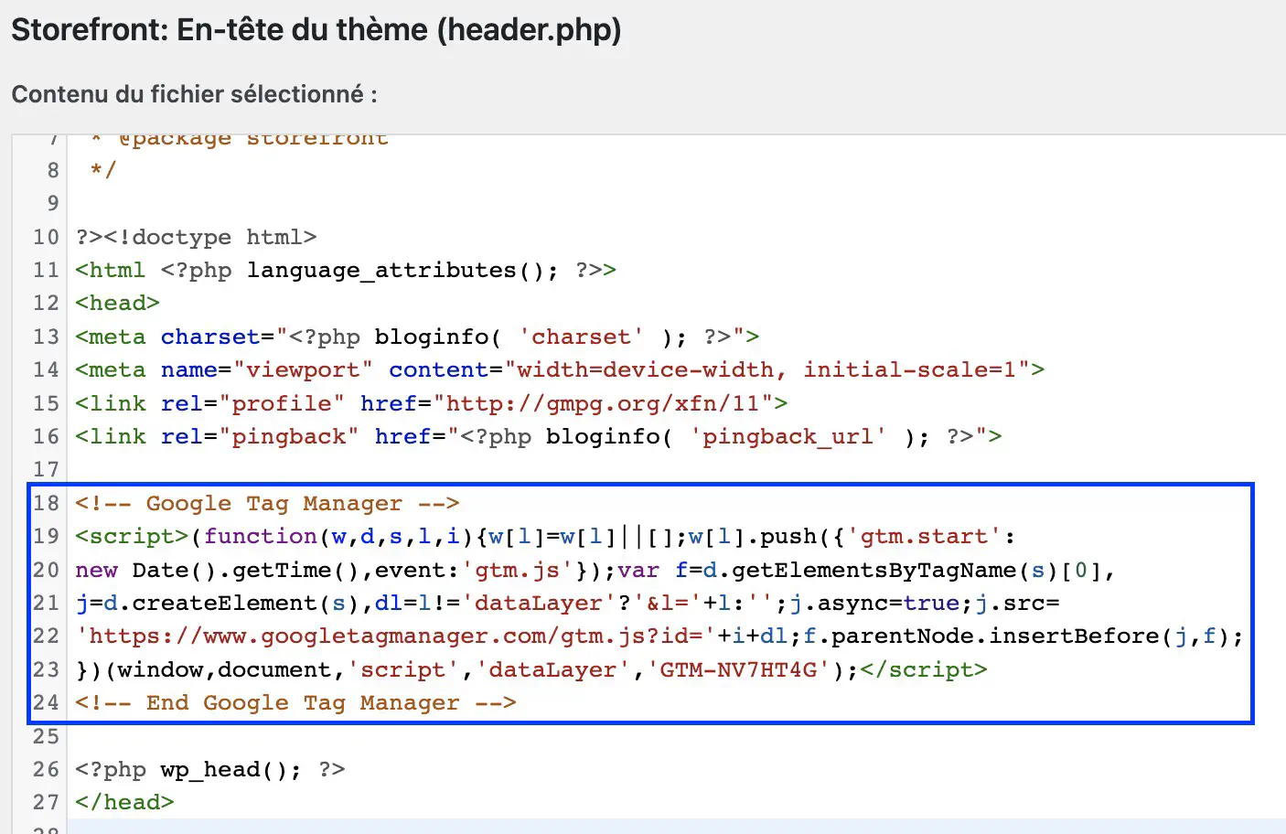 Ajout du code de Google Tag Manager dans la balise head du thème wordpress